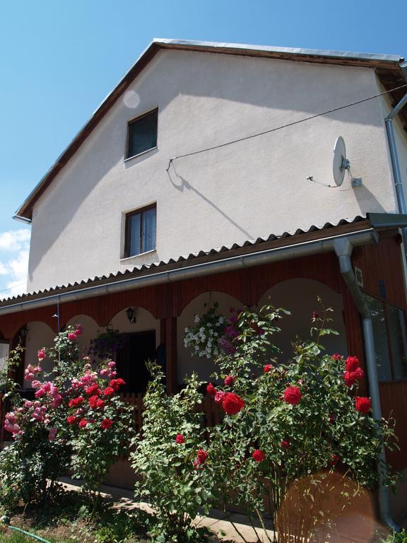 Rooms Zigic Korenica Exterior photo